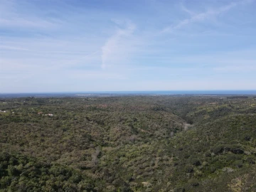 Terreno Agricola ou Rústico para Venda em São Francisco da Serra