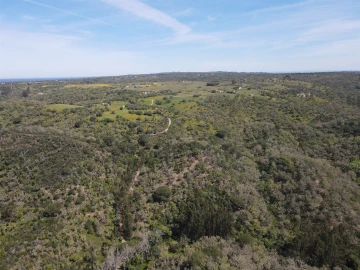 Terreno Agricola ou Rústico para Venda em São Francisco da Serra