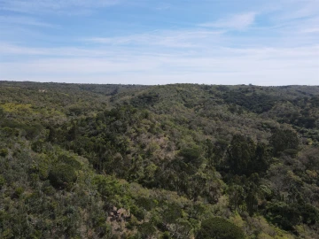 Terreno Agricola ou Rústico para Venda em São Francisco da Serra