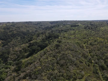 Terreno Agricola ou Rústico para Venda em São Francisco da Serra