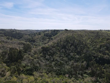 Terreno Agricola ou Rústico para Venda em São Francisco da Serra