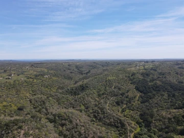 Terreno Agricola ou Rústico para Venda em São Francisco da Serra