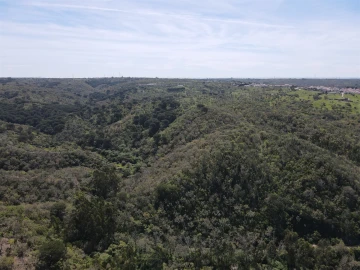 Terreno Agricola ou Rústico para Venda em São Francisco da Serra