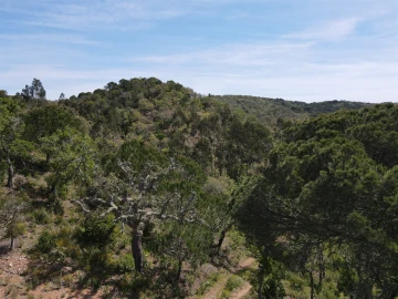Terreno Agricola ou Rústico para Venda em São Francisco da Serra