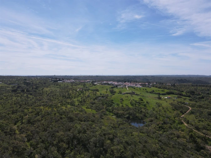 Terreno Agricola ou Rústico para Venda em São Francisco da Serra Foto 12