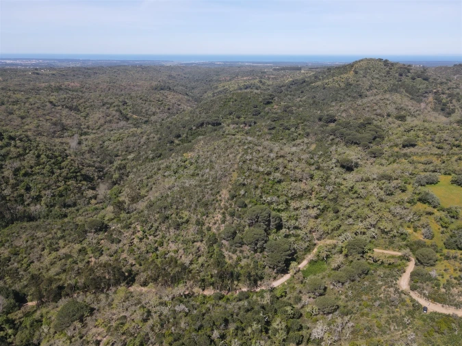 Terreno Agricola ou Rústico para Venda em São Francisco da Serra Foto 4