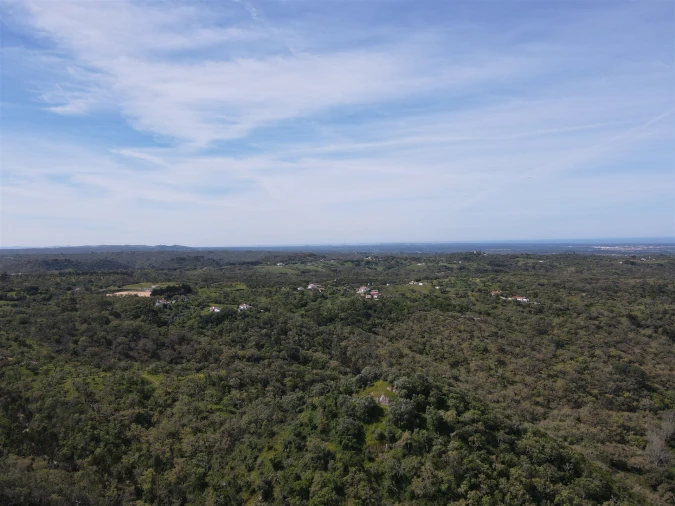 Terreno Agricola ou Rústico para Venda em São Francisco da Serra Foto 9