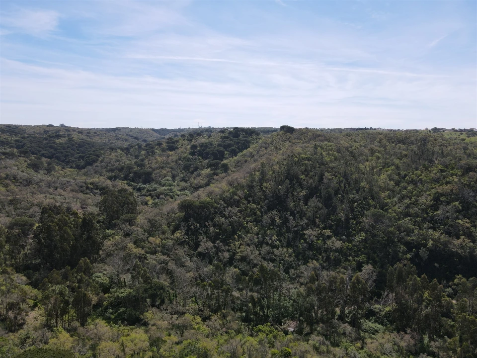 Terreno Agricola ou Rústico para Venda em São Francisco da Serra Foto 33