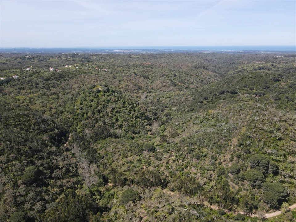 Terreno Agricola ou Rústico para Venda em São Francisco da Serra Foto 1