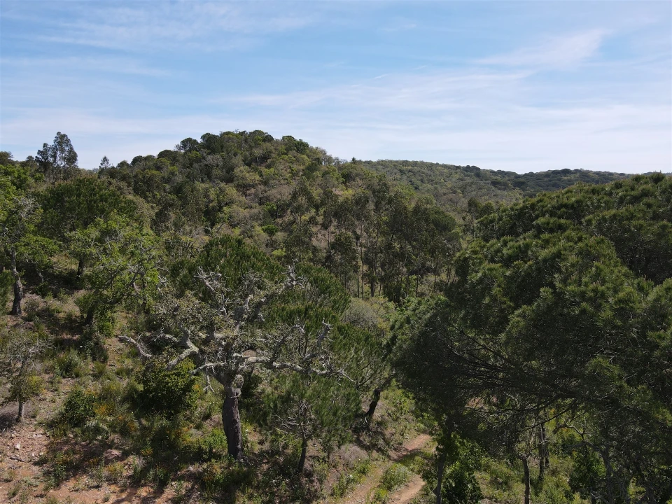 Terreno Agricola ou Rústico para Venda em São Francisco da Serra Foto 35