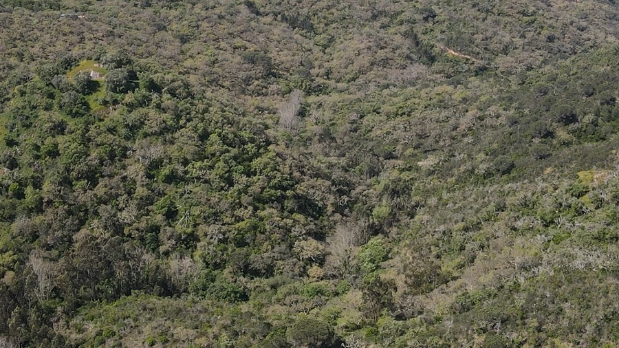 Terreno Agricola ou Rústico para Venda em São Francisco da Serra