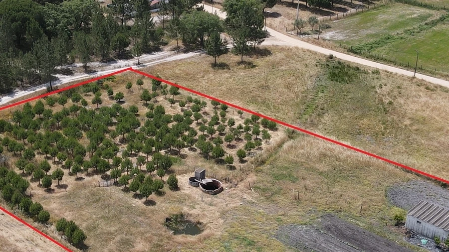 Quinta T0 para Venda em Torrão