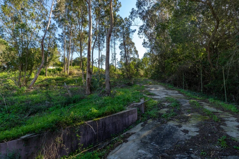 Terreno para Venda em Queluz e Belas Foto 8