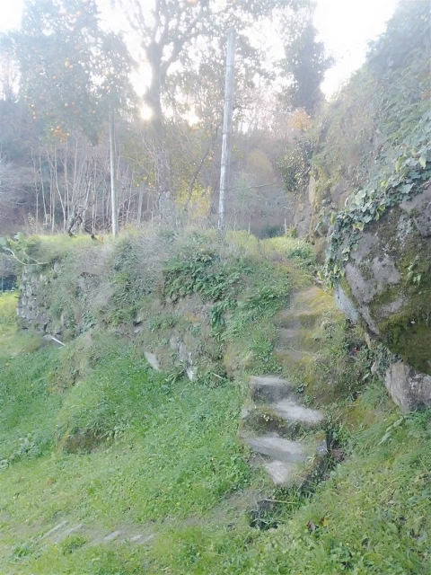 Terreno Agricola ou Rústico para Venda em Cinfães