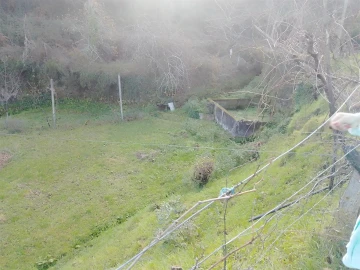 Terreno Agricola ou Rústico para Venda em Cinfães