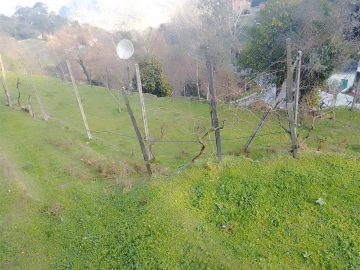 Terreno Agricola ou Rústico para Venda em Cinfães