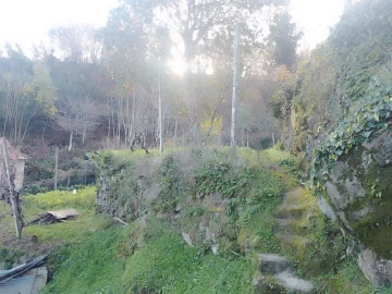 Terreno Agricola ou Rústico para Venda em Cinfães