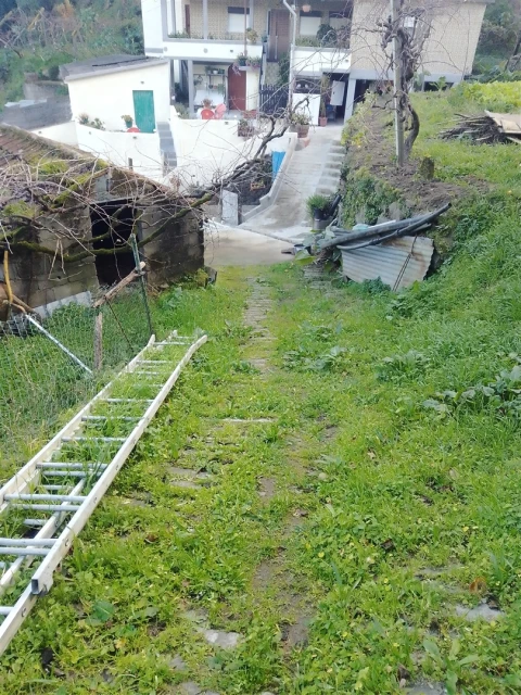 Terreno Agricola ou Rústico para Venda em Cinfães