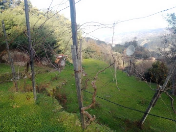 Terreno Agricola ou Rústico para Venda em Cinfães
