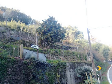 Terreno Agricola ou Rústico para Venda em Cinfães