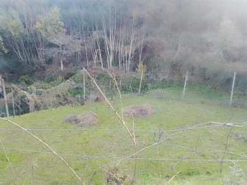 Terreno Agricola ou Rústico para Venda em Cinfães