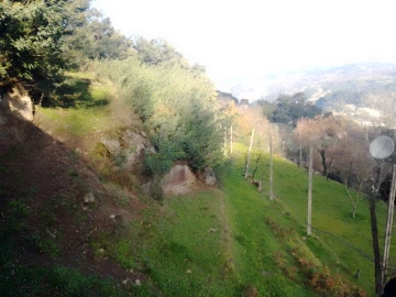 Terreno Agricola ou Rústico para Venda em Cinfães