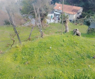 Terreno Agricola ou Rústico para Venda em Cinfães