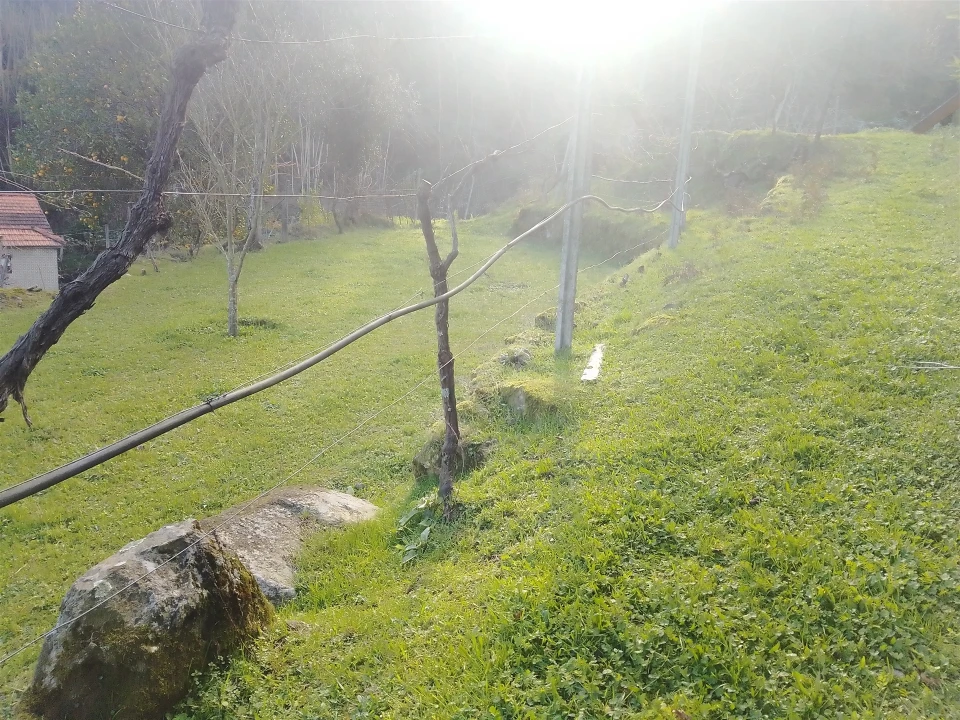 Terreno Agricola ou Rústico para Venda em Cinfães Foto 20