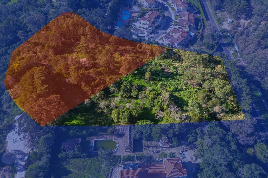 Terreno para Venda em Queluz e Belas Foto 5