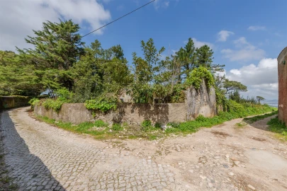 Terreno para Venda em Santa Maria e São Miguel, São Martinho, São Pedro Penaferrim