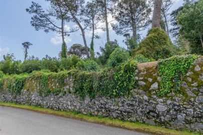 Terreno para Venda em Santa Maria e São Miguel, São Martinho, São Pedro Penaferrim