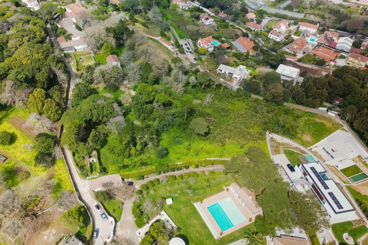 Terreno para Venda em Santa Maria e São Miguel, São Martinho, São Pedro Penaferrim Foto 29