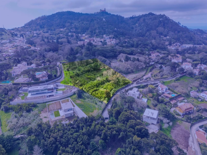 Terreno para Venda em Santa Maria e São Miguel, São Martinho, São Pedro Penaferrim Foto 13