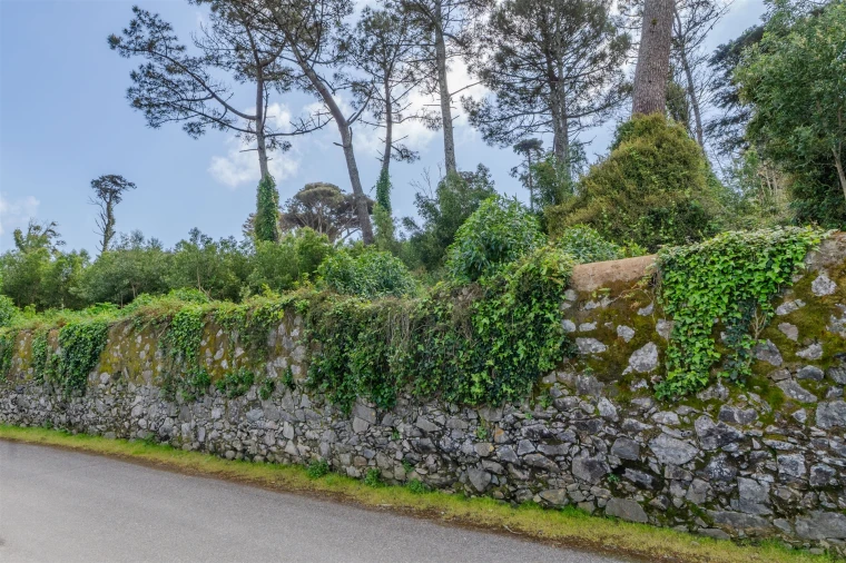 Terreno para Venda em Santa Maria e São Miguel, São Martinho, São Pedro Penaferrim Foto 16