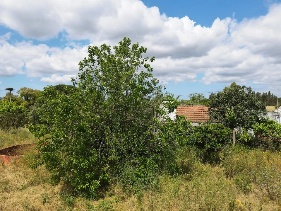 Quinta T2 para Venda em Grândola e Santa Margarida da Serra Foto 12