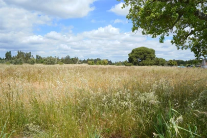Quinta T2 para Venda em Grândola e Santa Margarida da Serra