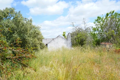 Quinta T2 para Venda em Grândola e Santa Margarida da Serra