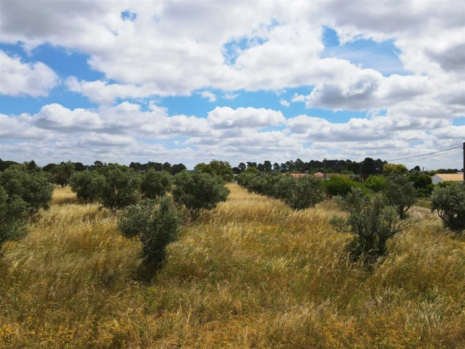 Quinta T2 para Venda em Grândola e Santa Margarida da Serra Foto 20