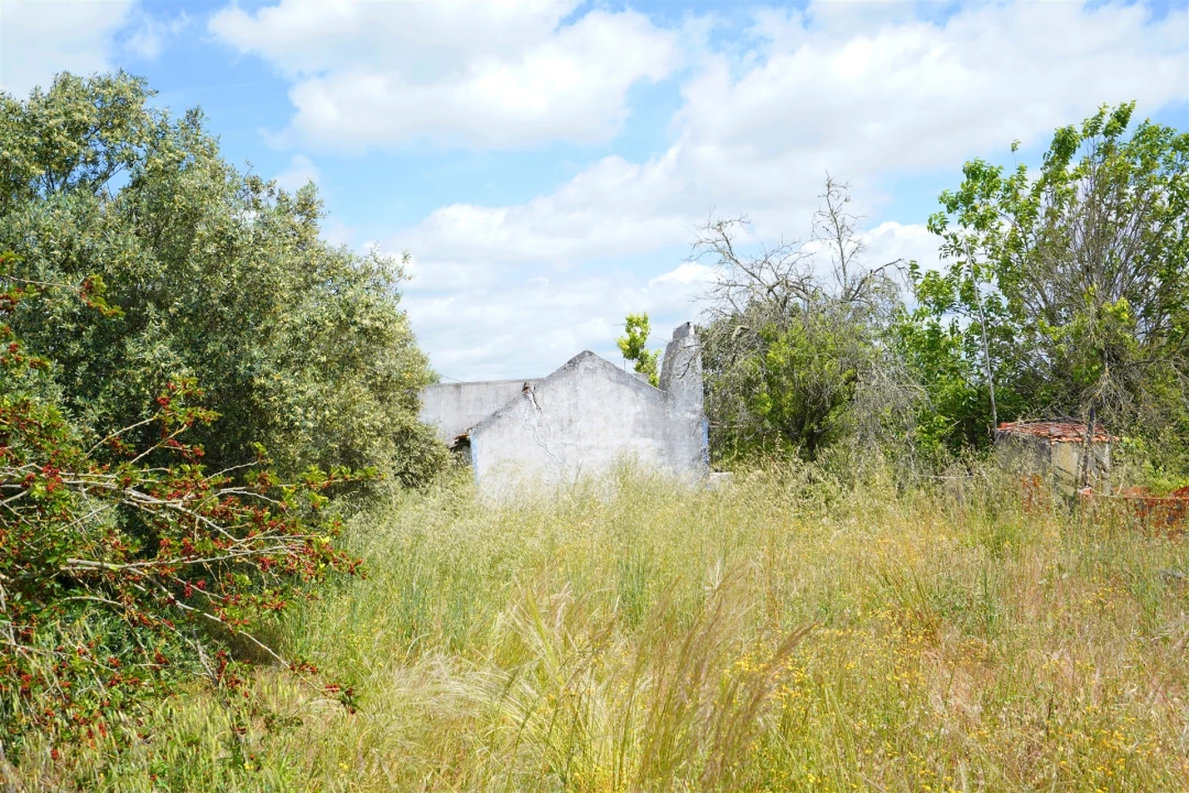 Quinta T2 para Venda em Grândola e Santa Margarida da Serra Foto 13