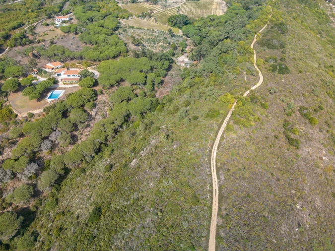 Terreno Agricola ou Rústico para Venda em Colares Foto 8