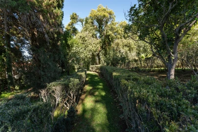 Quinta T15 para Venda em Carcavelos e Parede
