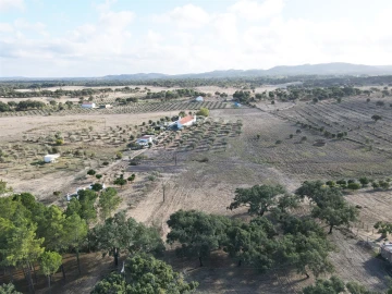Terreno Agricola ou Rústico para Venda em Grândola e Santa Margarida da Serra