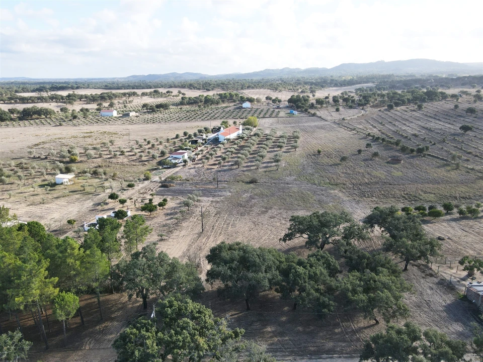 Terreno Agricola ou Rústico para Venda em Grândola e Santa Margarida da Serra Foto 9