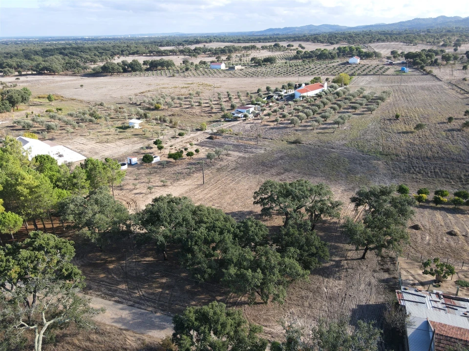 Terreno Agricola ou Rústico para Venda em Grândola e Santa Margarida da Serra Foto 7