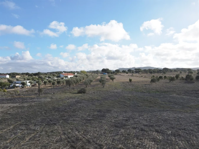 Terreno Agricola ou Rústico para Venda em Grândola e Santa Margarida da Serra Foto 10