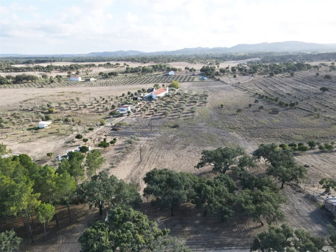 Terreno Agricola ou Rústico para Venda em Grândola e Santa Margarida da Serra Foto 9