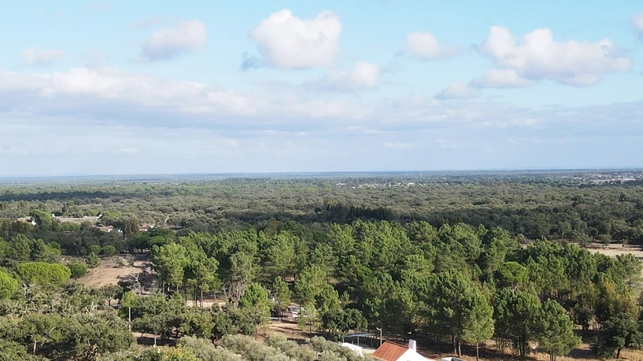 Terreno Agricola ou Rústico para Venda em Grândola e Santa Margarida da Serra