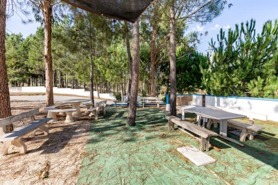 Quinta T0 para Venda em Almagreira