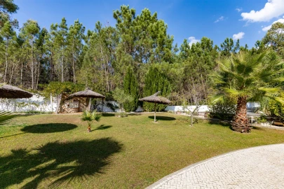 Quinta T0 para Venda em Almagreira