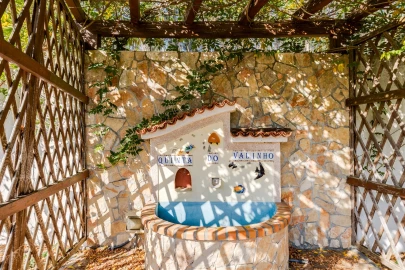 Quinta T0 para Venda em Almagreira